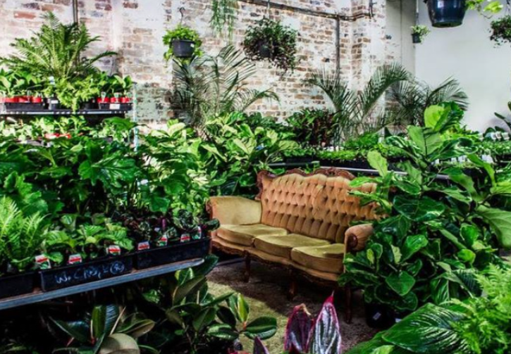 Nursery hands planting